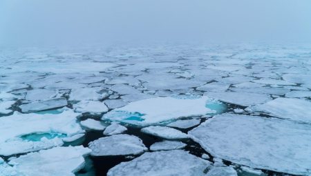 Arktik buz örtüsü alarm veriyor: Son 40 yılın en düşük düzeyinde