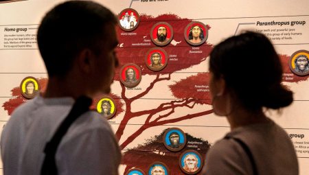 Çağdaş insanların 40 bin yıl önce yok olmaktan nasıl kurtulduğu ortaya çıktı