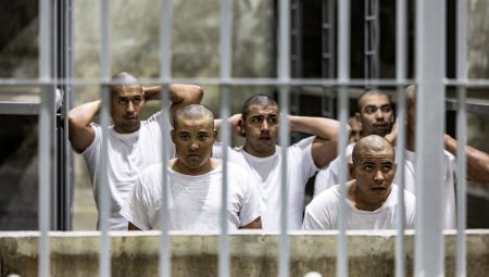 Cehennemin art bahçesi: Toplu katliamların delili mı?