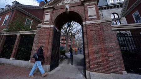 Harvard profesörlerinden Trump idaresine dava