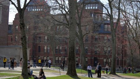 Harvard’a bir darbe daha: Yabancı öğrenci kayıt yetkisini kaybedebilir