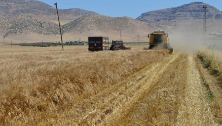 Irak’tan Suriye’ye 250 bin tonluk buğday yardımı