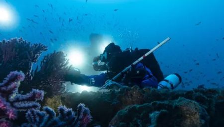 Mucize keşif: Bilim insanları su altında “biyolojik hazine sandığı” buldu