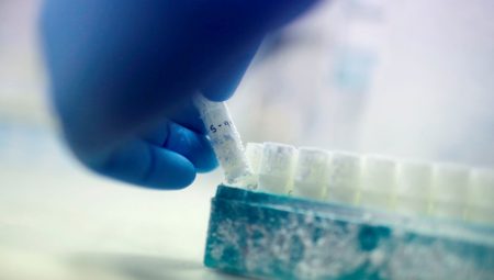 “Tıbbi felaket”: 85 sperm donörü binlerce çocuğa baba olmuş