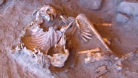 Yeni mumya keşfi ortaya çıkardı: İnsanlığın soy ağacı değişiyor!