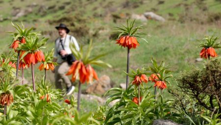 Hakkari’deki Şivişk Vadisi büyük ilgi görüyor