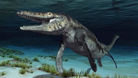 Okyanuslara hükmediyordu: Dev deniz canavarı fosili bulundu