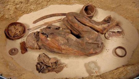 100 yılı aşkın müddettir sergilenen mumyanın sırrı yeni ortaya çıktı