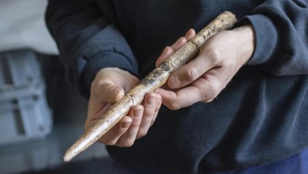 20 bin yıllık balina aletleri bulundu: İspanya kıyılarında tarihi keşif