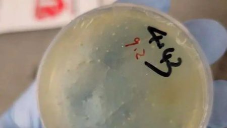 Bâtın biyolojik unsur skandalı: Çinli bilim insanı havalimanında yakalandı