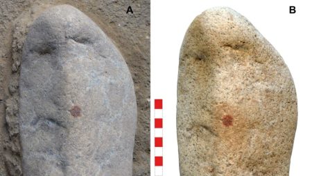 Bilim insanları şaşkın: 43 bin yıllık taşta parmak izi bulundu!