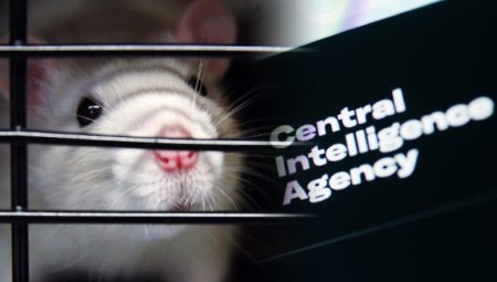 CIA’in en kapalı deneyi: “Hayvan suikastçılar ordusu”