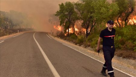 Fas’ın kuzeyindeki orman yangınları 5 gündür söndürülemiyor