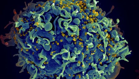 HIV tedavisinde çığır açacak adım: mRNA temelli yol umut verdi