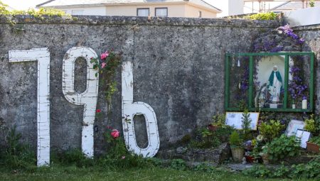 İrlanda’da bebek skandalı: Sığınma meskeninin bahçesinde 796 cenaze aranacak