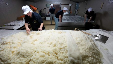 Japonya’da pirinç krizi: Stoklardan 200 bin ton çıkarılacak