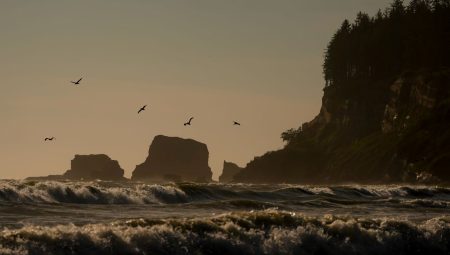“Kara göçü” kapıda: Denizden gelen felakete karşı bilim insanlarından ihtar