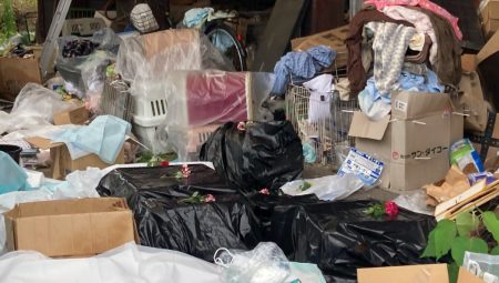 Kedi muhafaza gönüllüsünün meskeninde dehşet: Yüzden fazlası meyyit bulundu