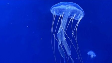 Komşuda panik: “Sakın temas etmeyin!”