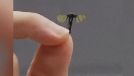 Nano-teknolojide ihtilal: Çin ordusu, sinek büyüklüğünde drone üretti