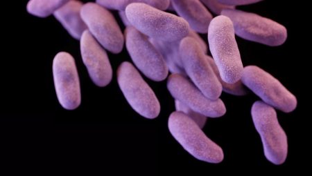 “Süper antibiyotik” için geri sayım başladı: Milyonlarca hayat kurtarabilir