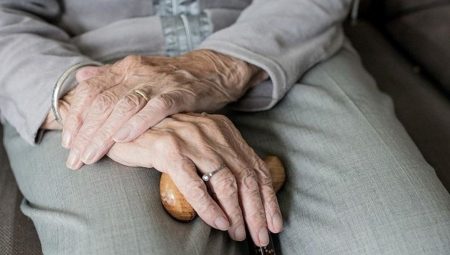Japonya’da “büyükanne kiralama” hizmeti